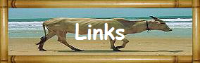 Links